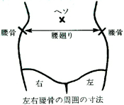 左右腰骨の周囲の寸法